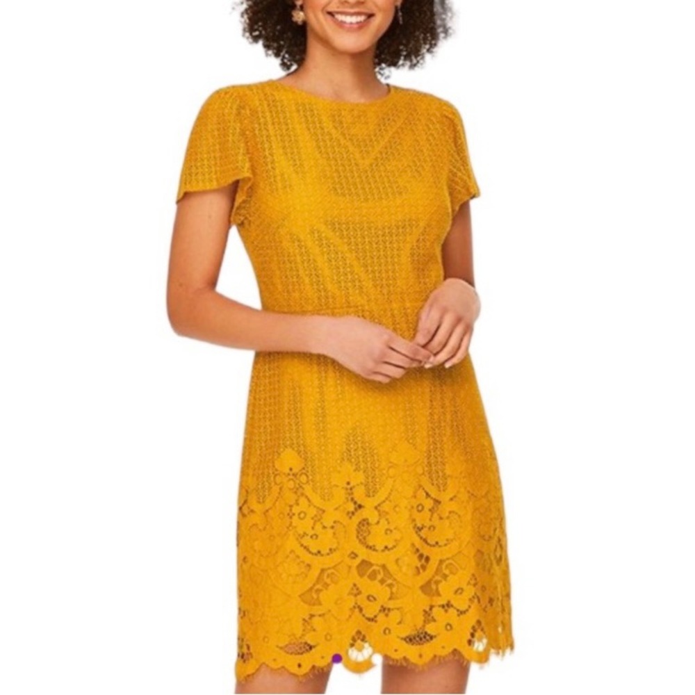 Loft Lace Mini Dress